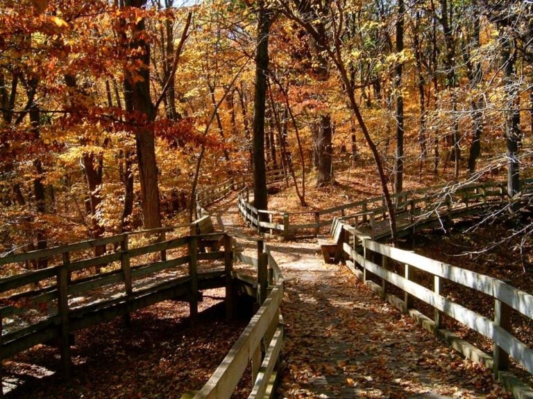 6 Breathtaking Destinations to View Fall Foliage