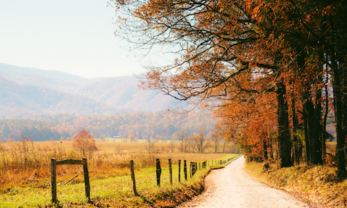 6 Breathtaking Destinations to View Fall Foliage