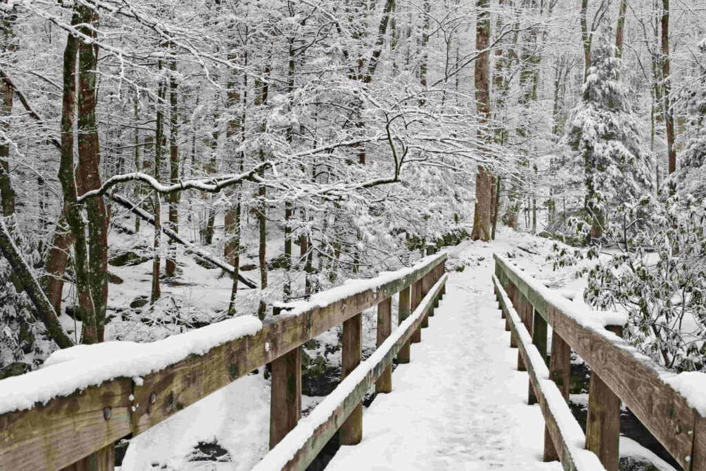 Smoky Mountains winter trails