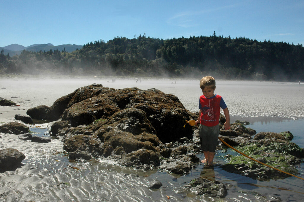 exploring Salt Creeks