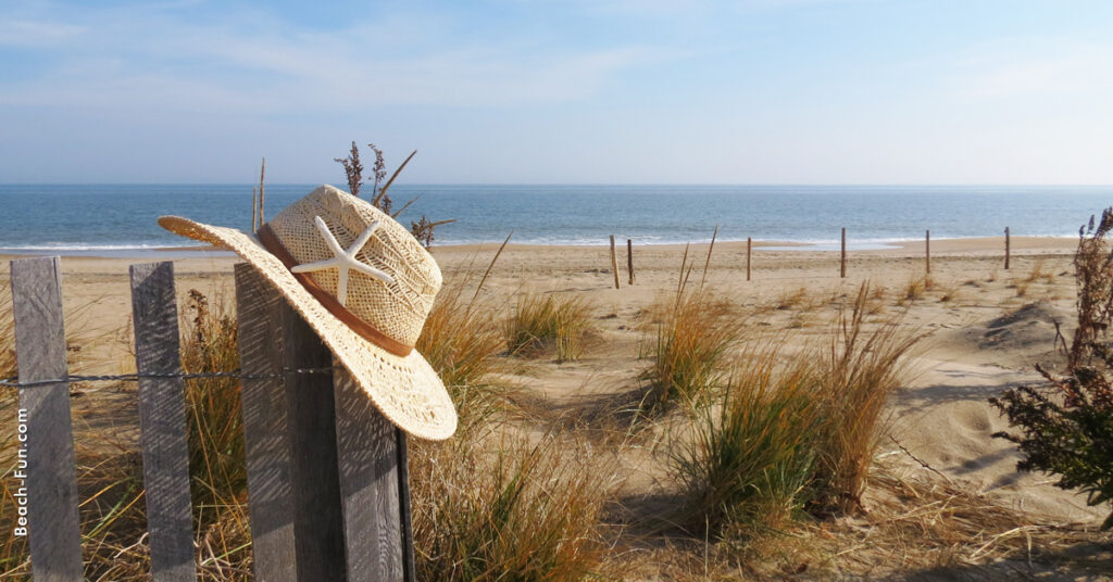 delaware beach 