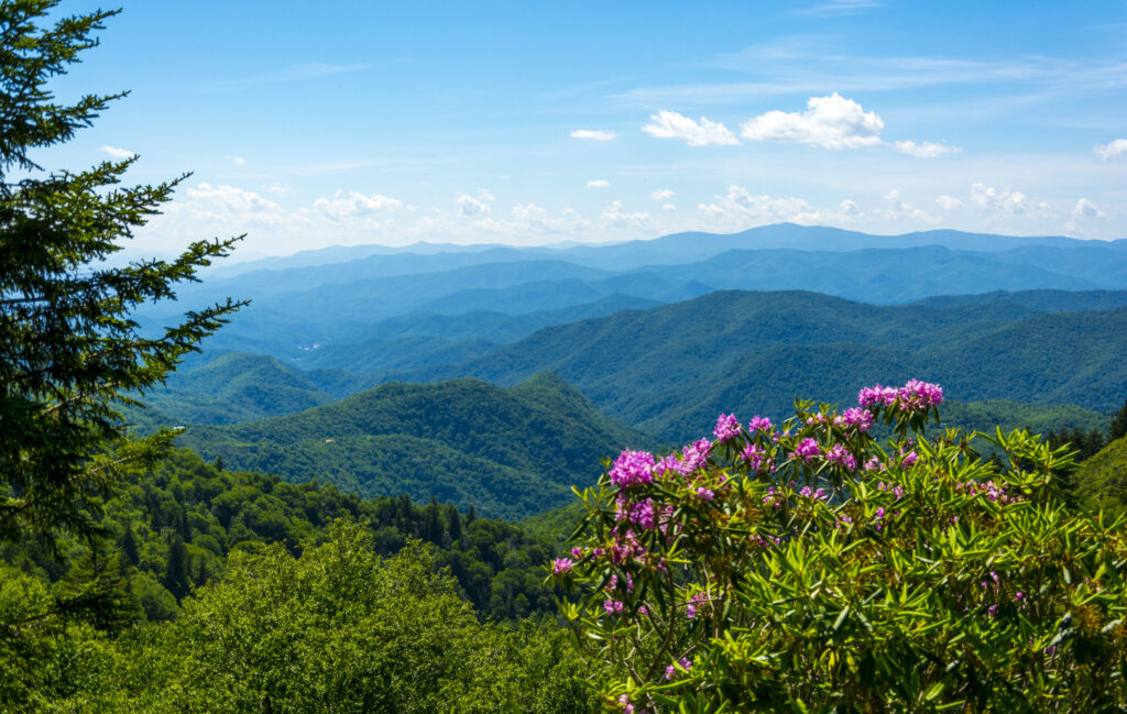 smoky mountains in spring