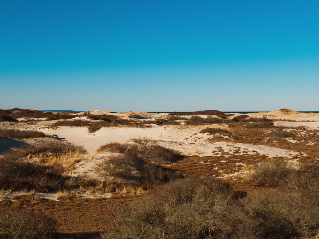 Cape Cod Sand Dunes