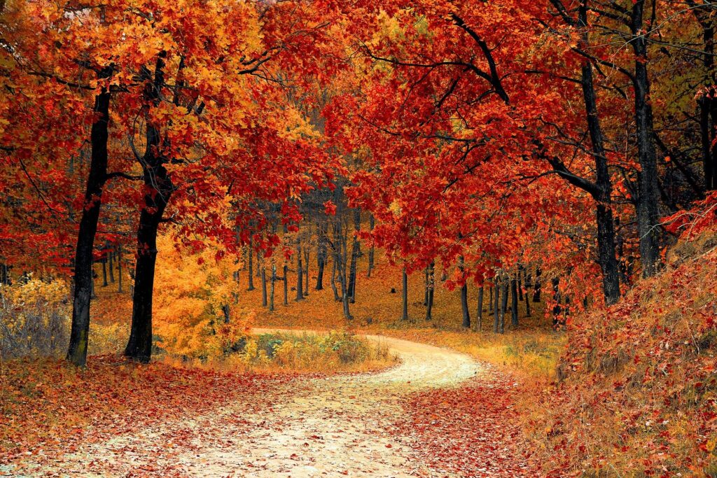 Best Places to Experience Fall Foliage