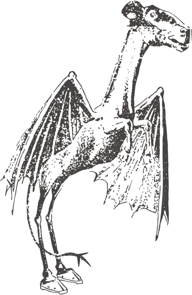 jersey devil