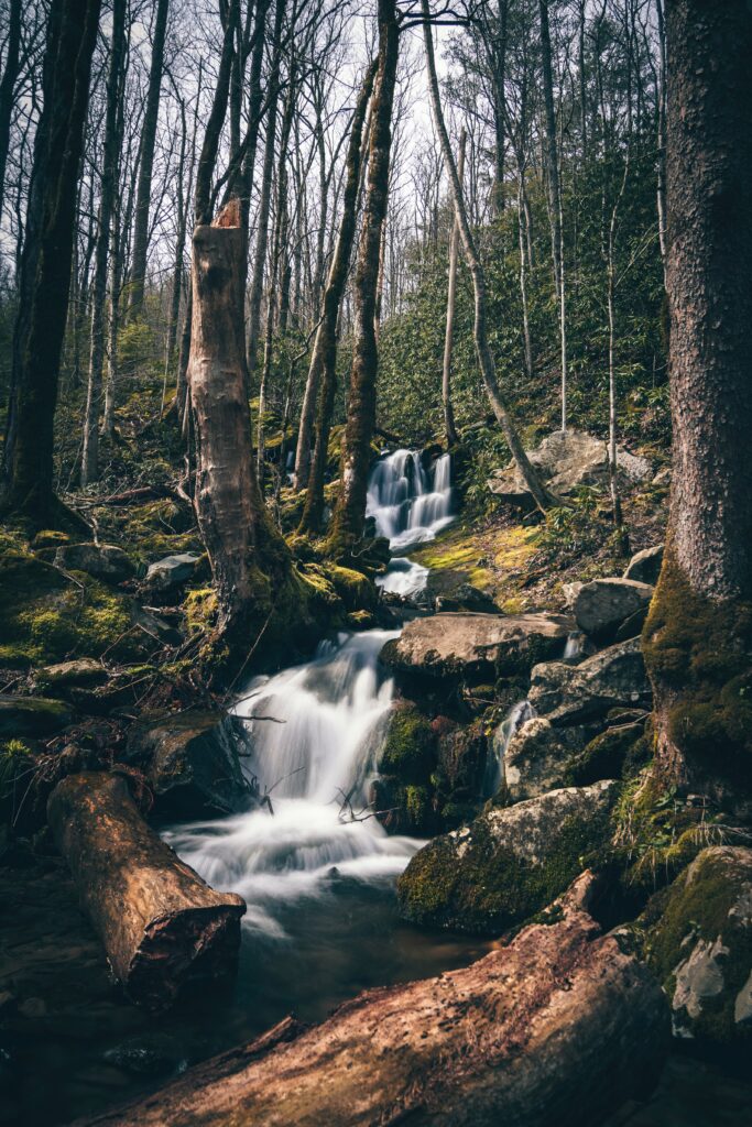 Smoky Mountains, Tennessee