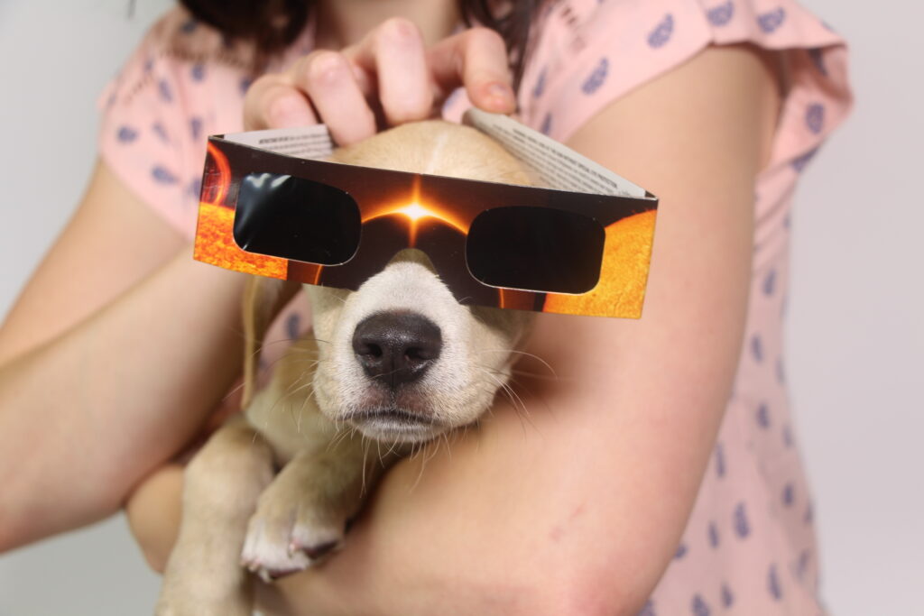 Will the eclipse affect my pets? Will it affect other animals?