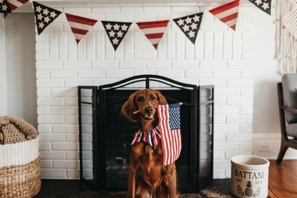 Where Will You Celebrate?