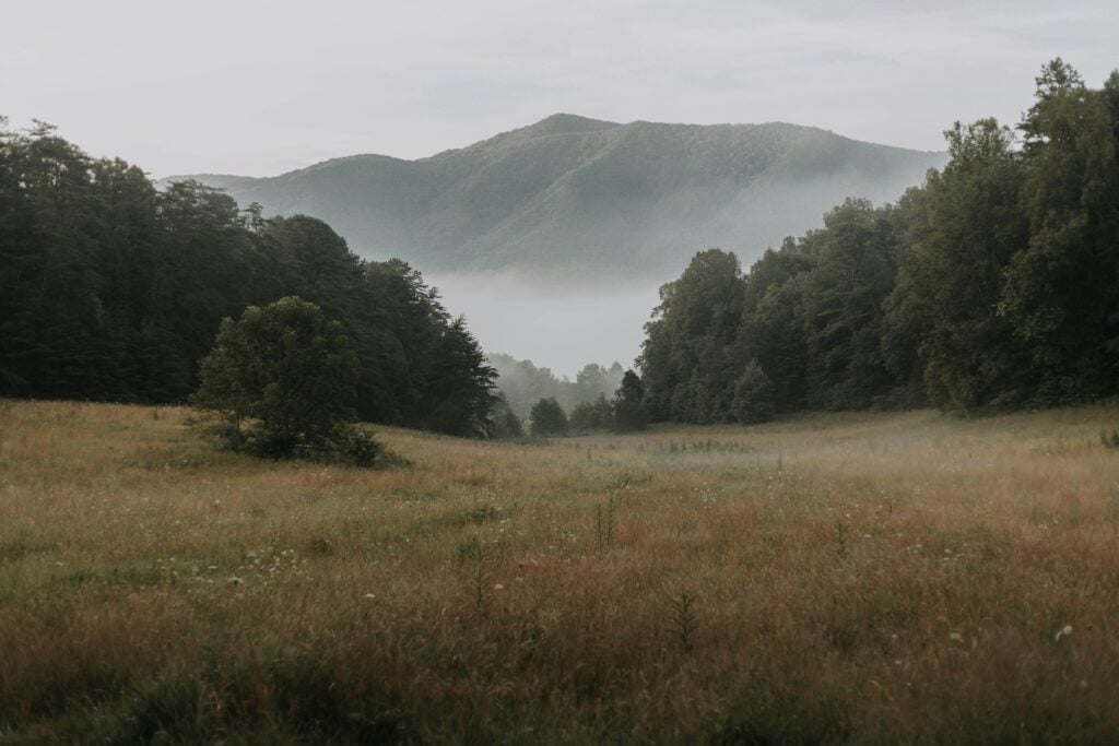Blackberry Farm