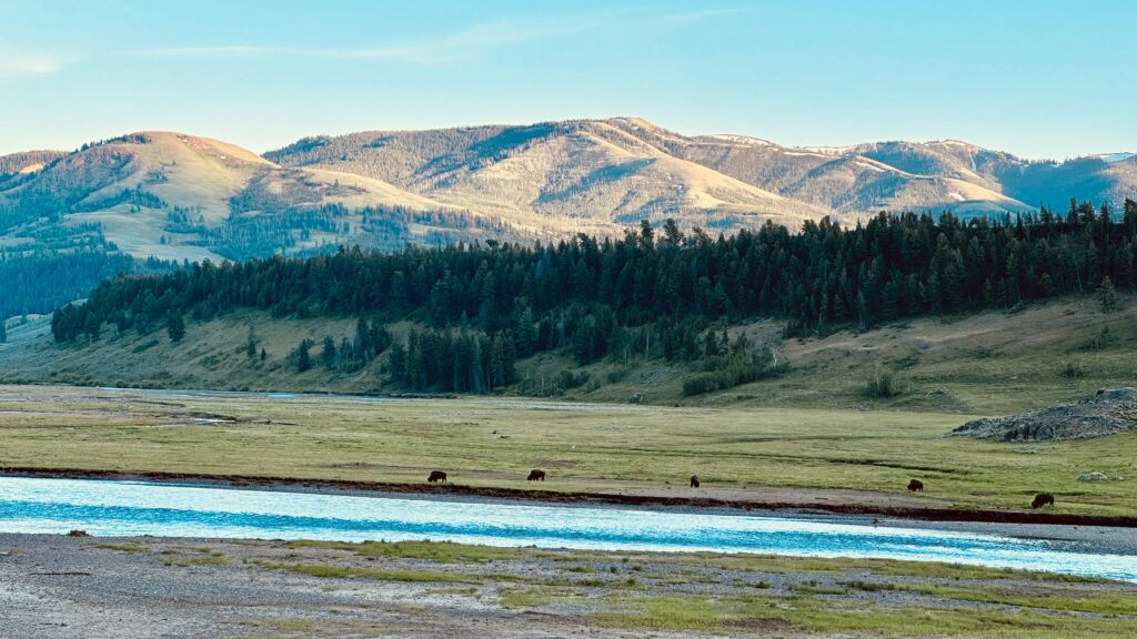 Cody Yellowstone Country