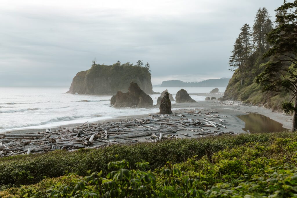 Olympic National Park