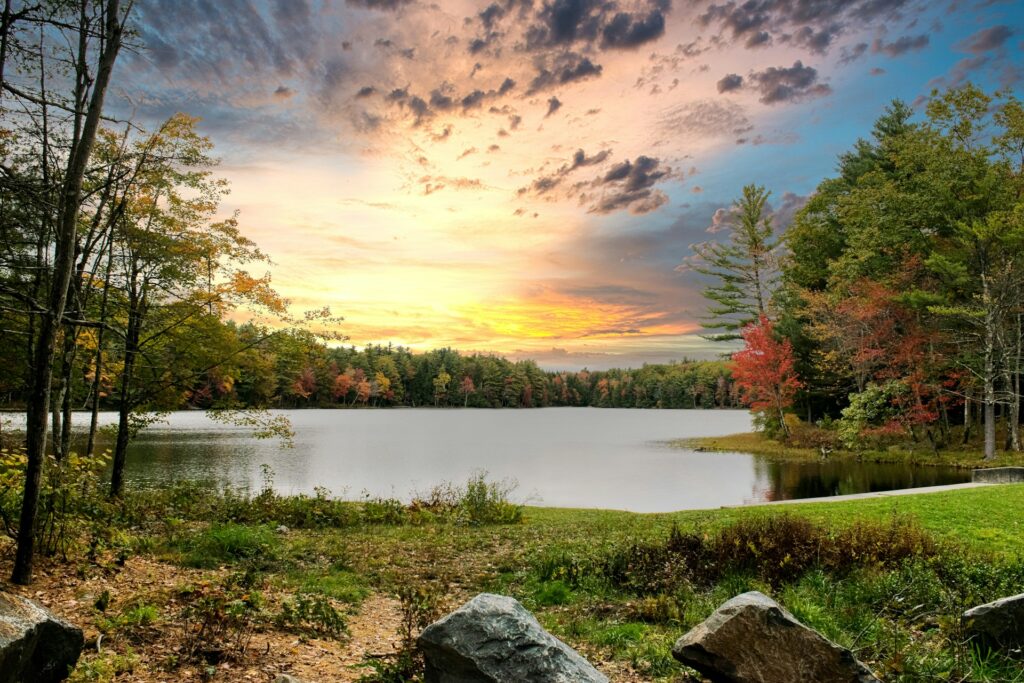 New York State