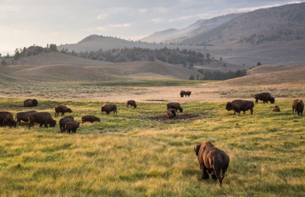 Cody-Yellowstone, Washakie & Carbon Counties, Wyoming