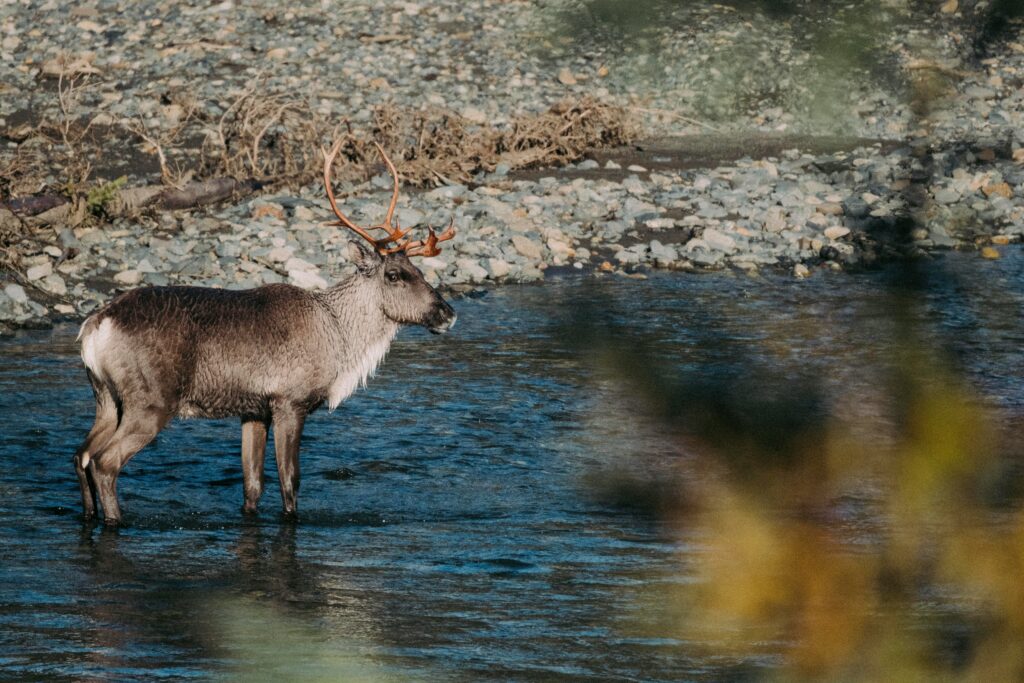Fairbanks, Alaska