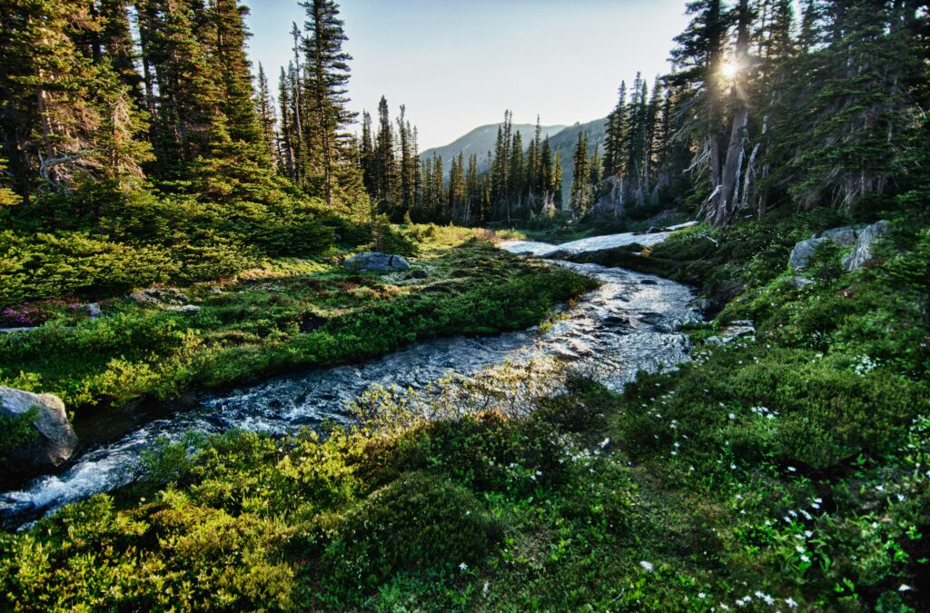 Washington State’s Olympic Peninsula