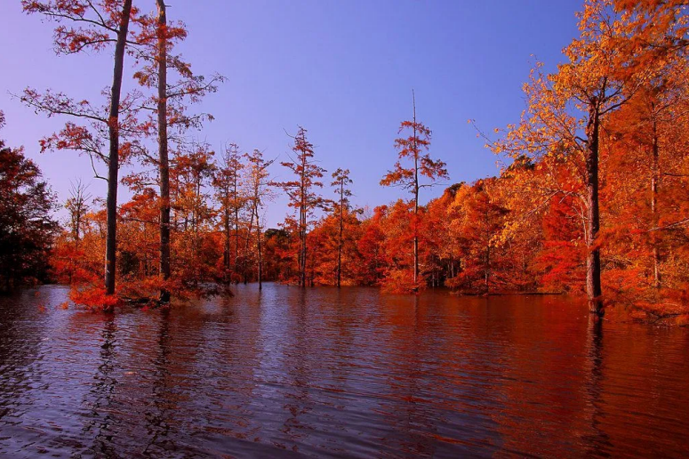 Louisiana
