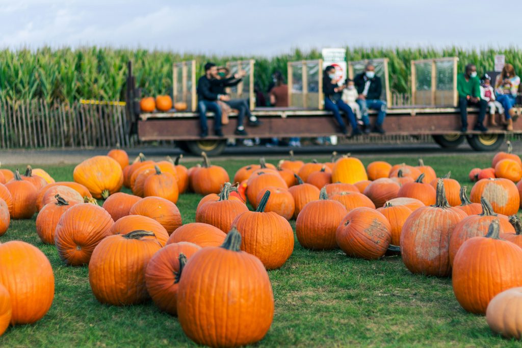 Carroll Wine Trail